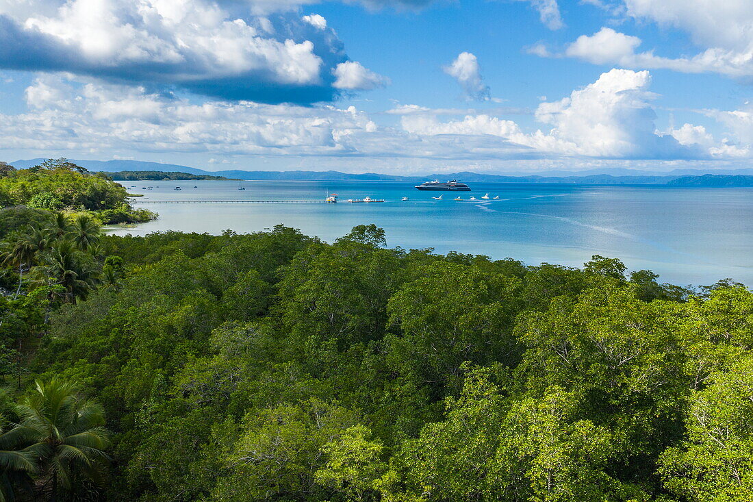 Luftaufnahme von üppiger Vegetation mit Expeditionskreuzfahrtschiff World Voyager (nicko cruises) in der Ferne, Puerto Jiménez, Puntarenas, Costa Rica, Mittelamerika