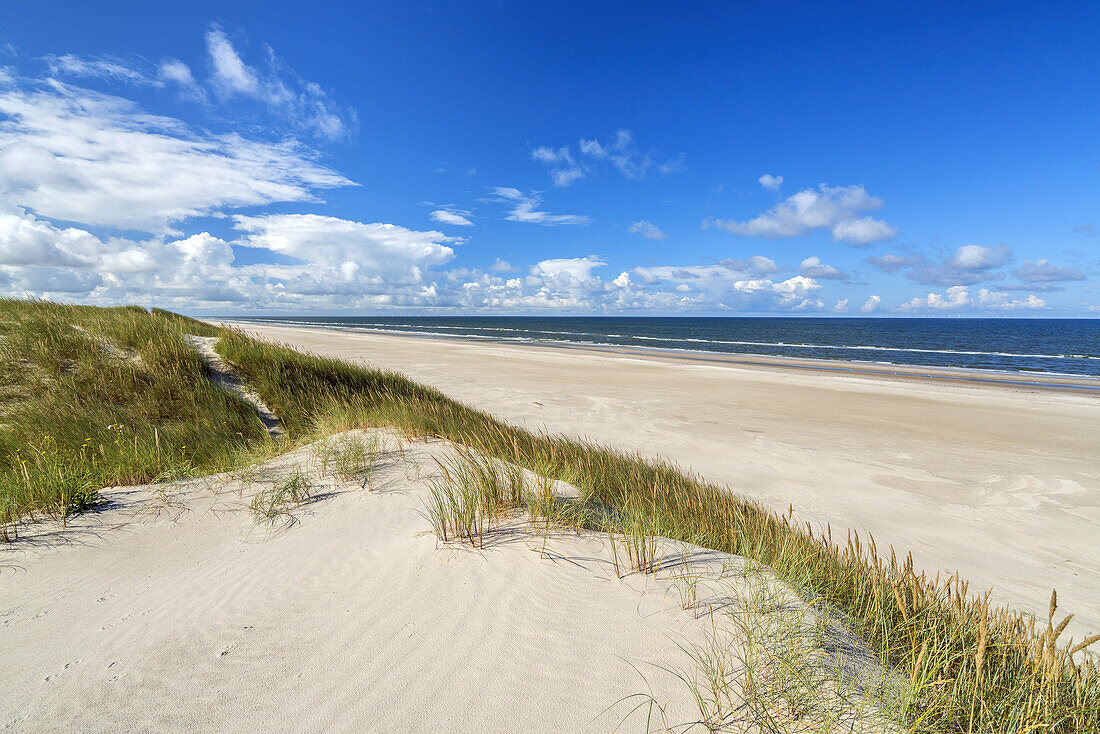 Beach at Børsmose, Southern Denmark, Denmark