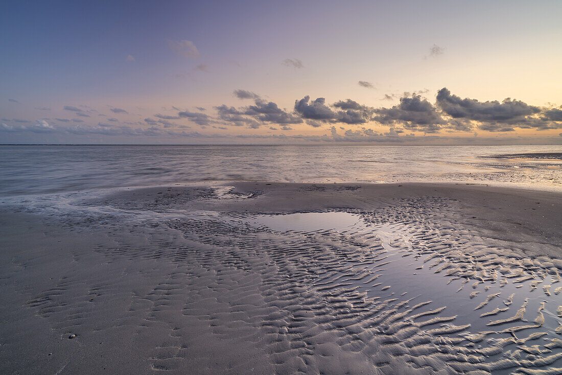 Blåvandshuk Beach, Blåvand, Southern Denmark, Denmark