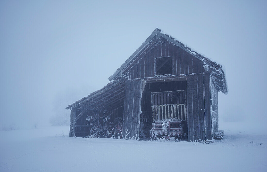 Klirrende Kälte im Kochelmoos, Schlehdorf, Oberbayern, Bayern, Deutschland