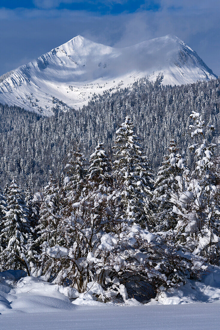 Winter in the mountains near Mittenwald, Bavaria, Germany.