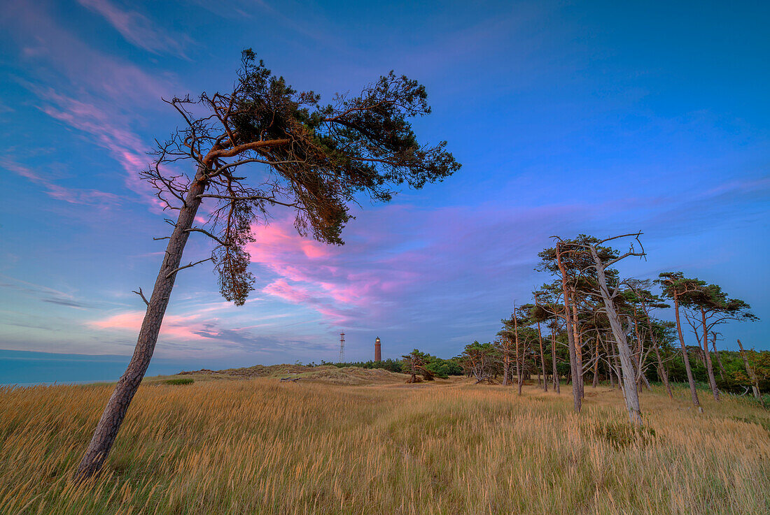 Sommerabend am Weststrand Darß, Mecklenburg-Vorpommern, Deutschland