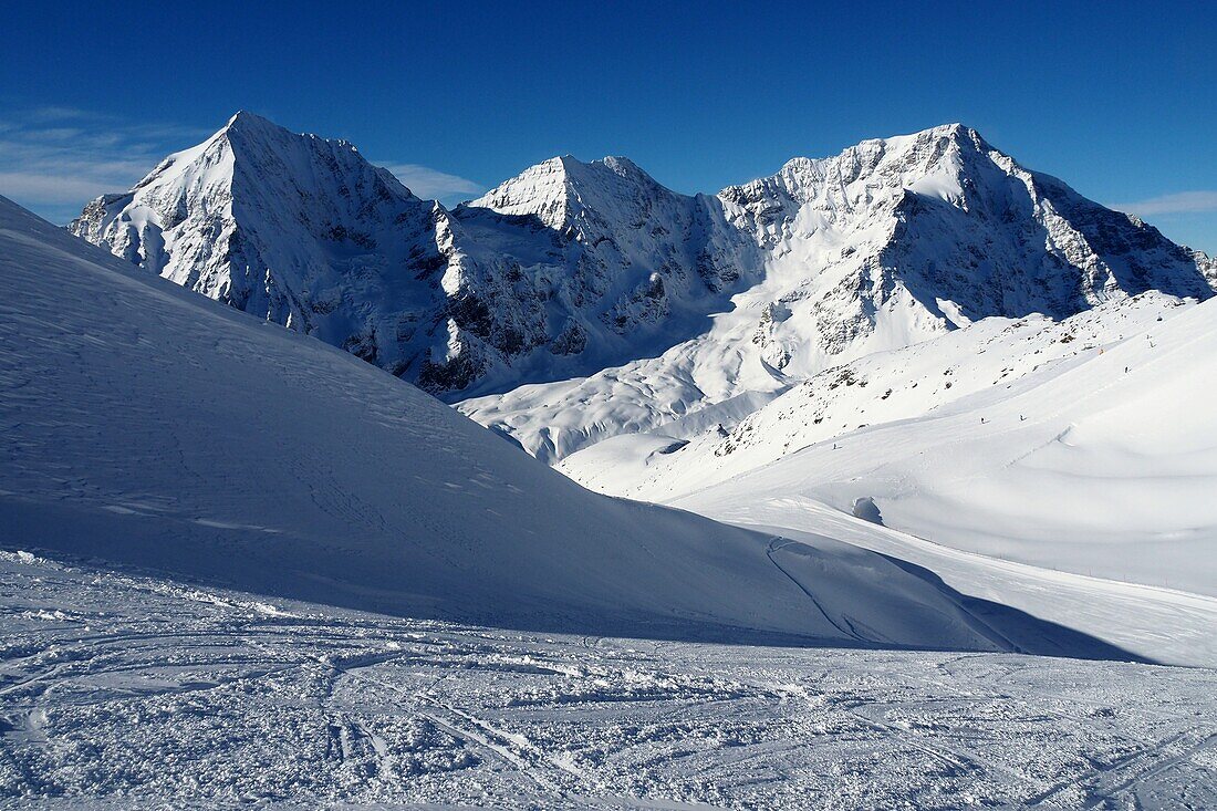 Pisten im Skigebiet Sulden mit Königsspitze und Ortler, Südtirol, Trentino, Italien