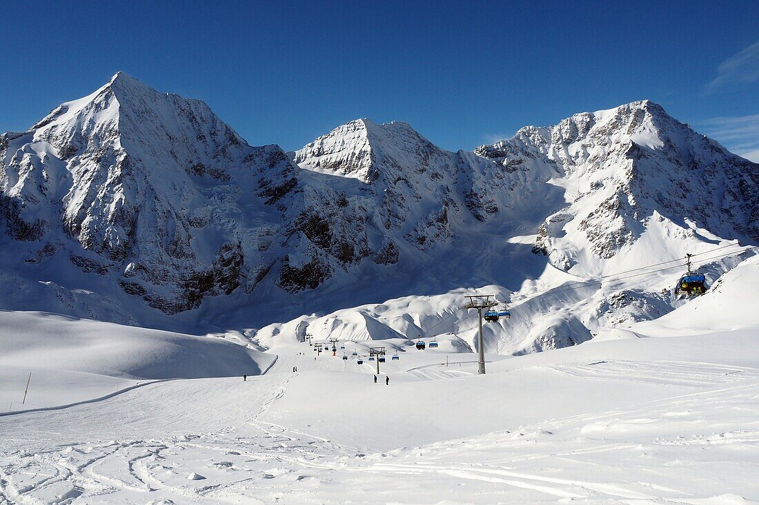 Pisten und Tiefschnee im Skigebiet Sulden mit Königsspitze und Ortler, Südtirol, Trentino, Italien