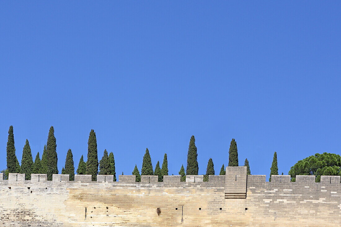 Mauer der Burg Fort Saint-André in Villeneuve-lés-Avignon, bei Avignon, Département Gard, Okzitanien, Frankreich