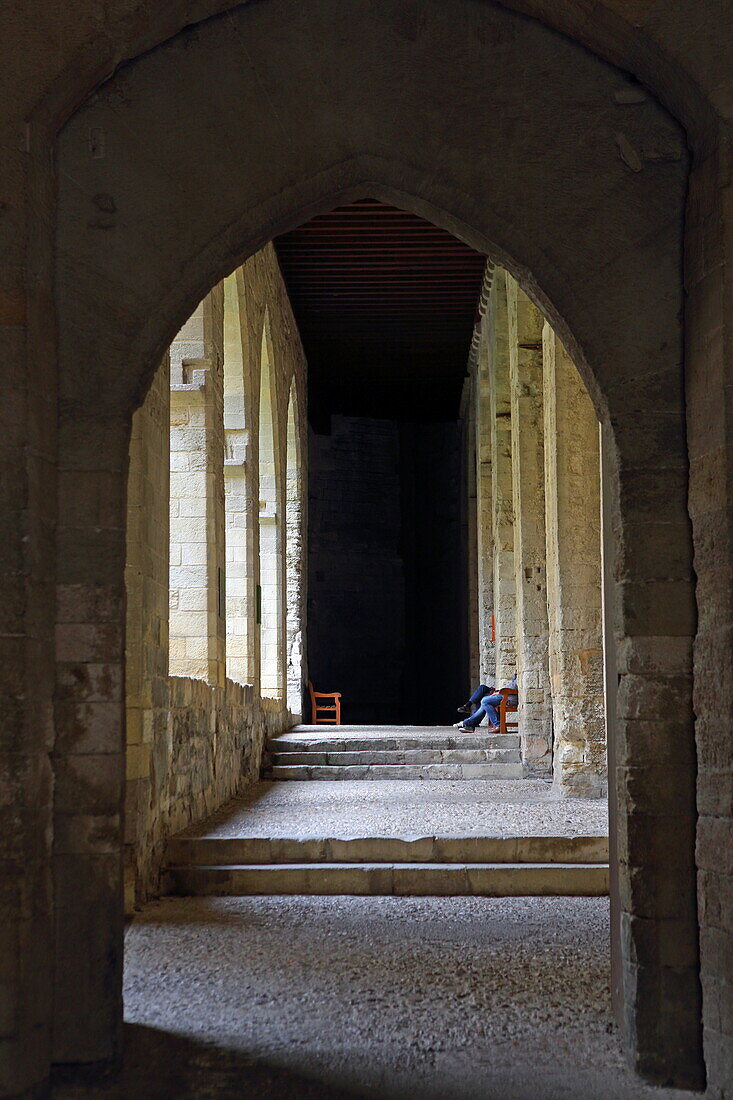 Cloister, Palais des Papes, Avignon, Vaucluse, Provence-Alpes-Cote d'Azur, France