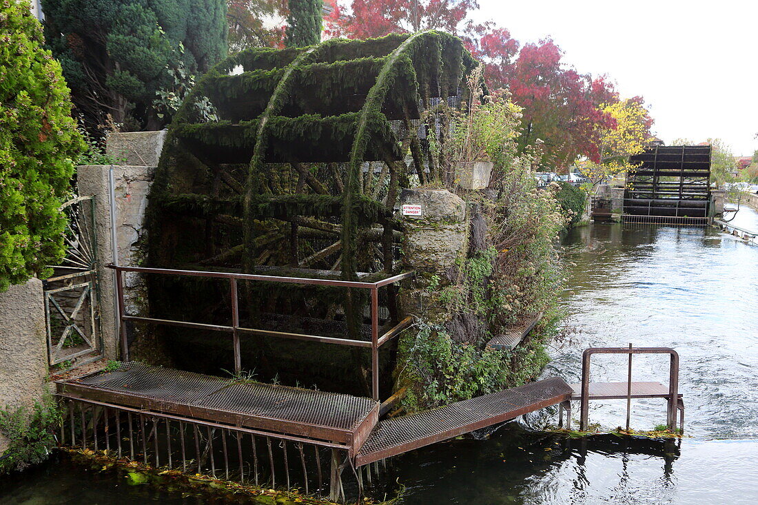 Historic water wheel on the Sorgue, L'Isle-sur-la-Sorgue, Vaucluse, Provence-Alpes-Côte d'Azur, France