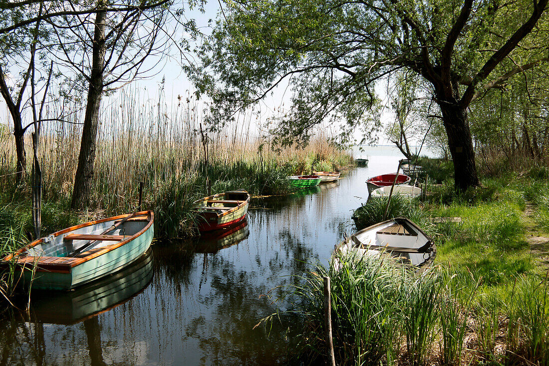 Rowing boats on the north shore of Lake Balaton, Veszprém County, Hungary