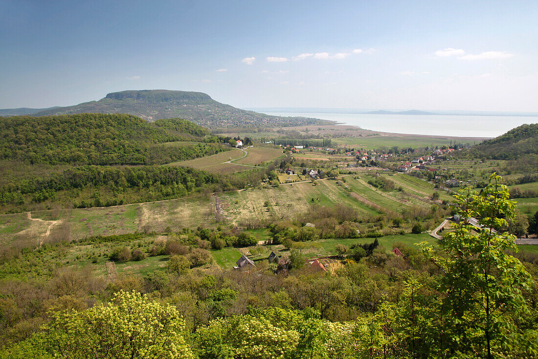 Blick zum Berg Badacsony und auf den Plattensee, Landkreis Veszprém, Ungarn