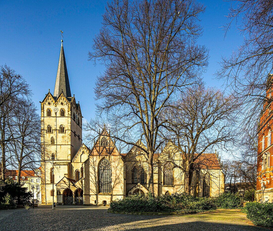 Herforder Münster, Herford, Nordrhein-Westfalen, Deutschland