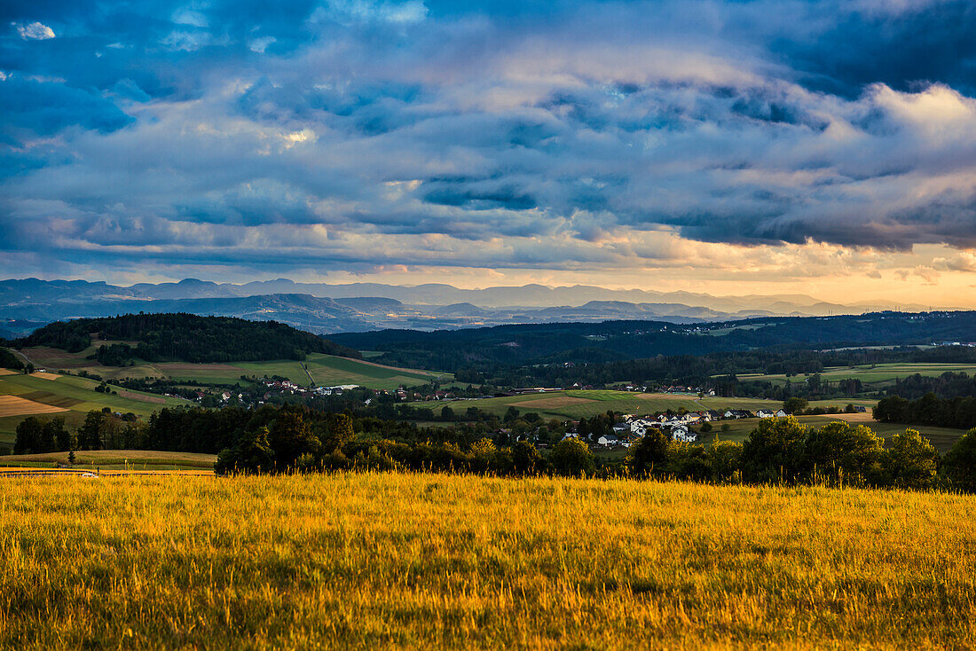 Blick ins Rheintal, Sonnenuntergang, bei Höchenschwand, Schwarzwald, Baden-Württemberg, Deutschland