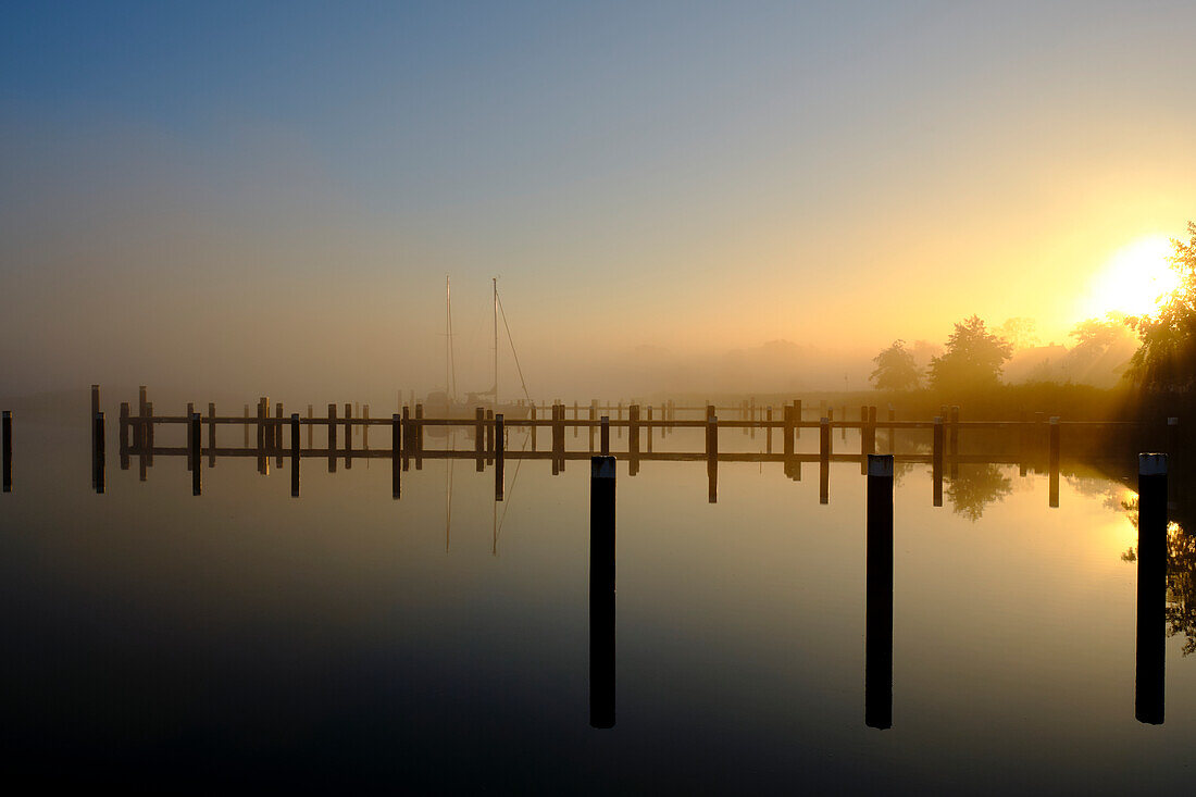 Sonnenaufgang im Nebel über dem Hafen Prerow am Prerowstrom, Halbinsel Fischland-Darss-Zingst, Mecklenburg-Vorpommern, Deutschland