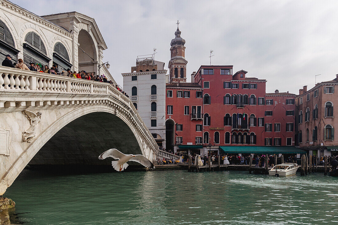 Rialto-Brücke. Venedig, Venetien, Italien