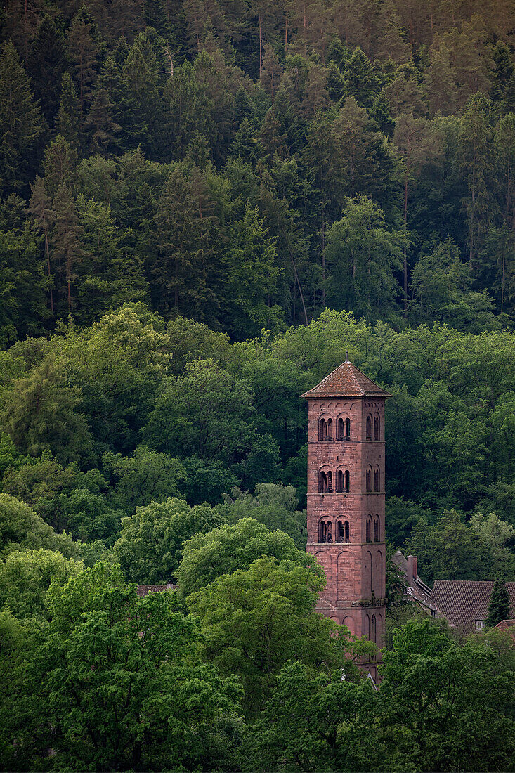 Owl Tower of Hirsau Monastery near Calw rises above surrounding forest, Baden-Wuerttemberg, Germany, Europe