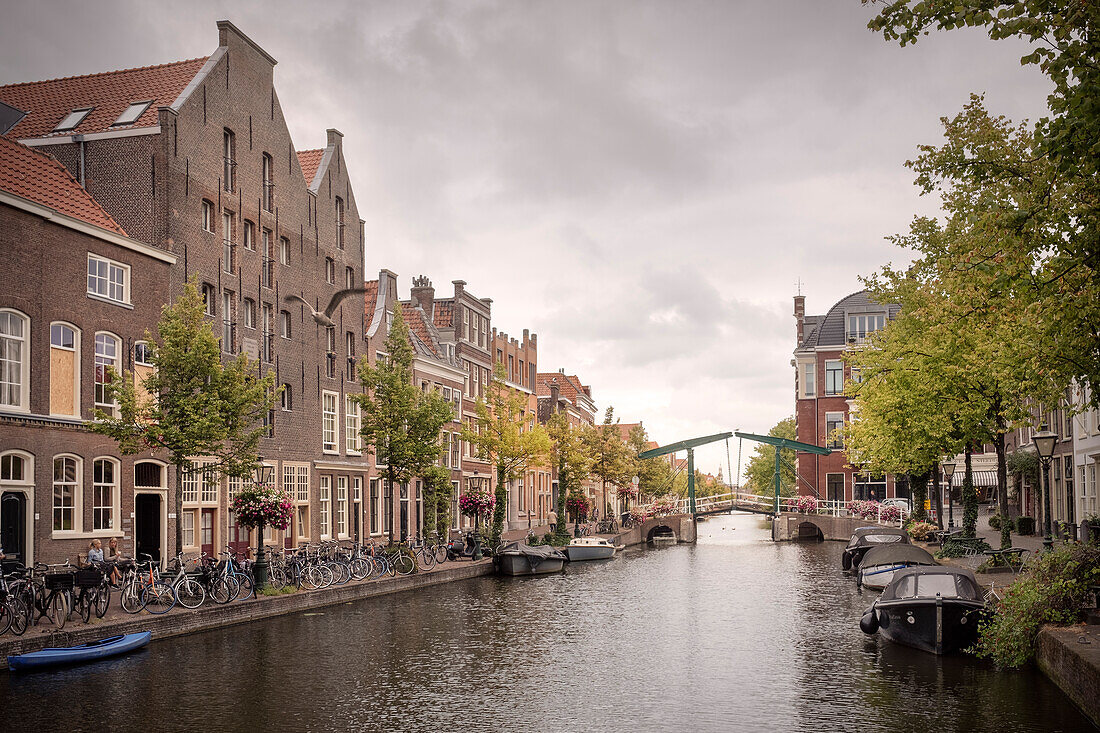 historical houses at canal of Leiden, province Zuid-Holland, Netherlands, Europe