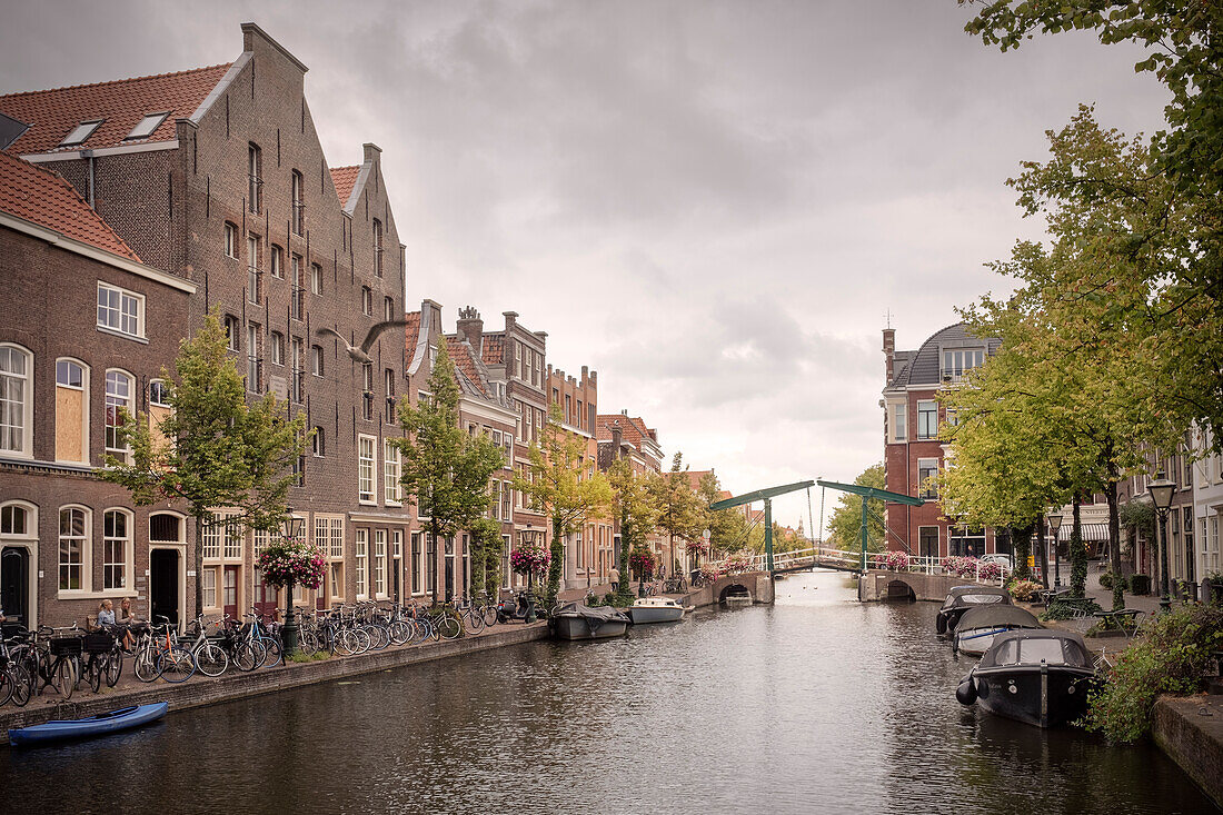 historische Häuser an Gracht von Leiden, Provinz Zuid-Holland, Niederlande, Europa