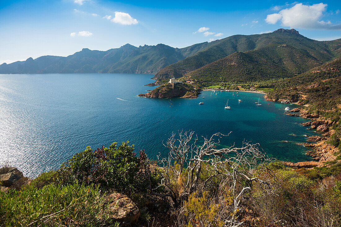 Rote Felsen und Bucht von Girolata, Halbinsel La Scandola, Département Haute-Corse, Westküste, Korsika, Mittelmeer, Frankreich