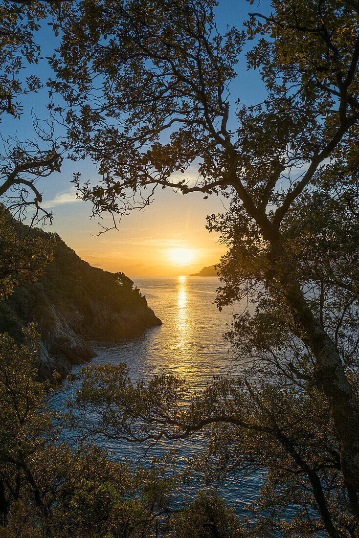 Sonnenuntergang, Bucht von Girolata, Halbinsel La Scandola,  Département Haute-Corse, Westküste, Korsika, Mittelmeer, Frankreich