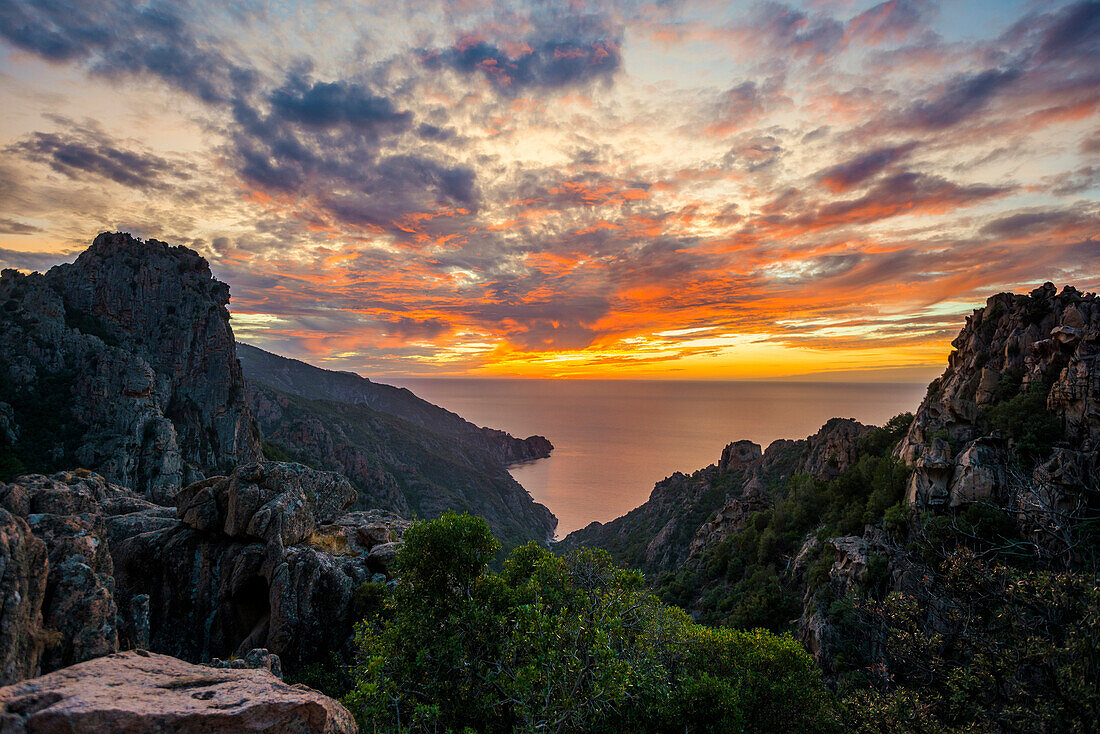 Rote Granitfelsen, Tafoni, Calanches de Piana, Bucht von Porto, Département Haute-Corse, Westküste, Korsika, Mittelmeer, Frankreich