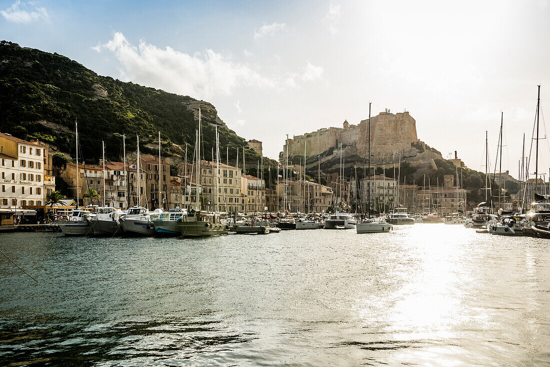 Harbour, Bonifacio, South Coast, Corse-du-Sud Department, Corsica, Mediterranean Sea, France