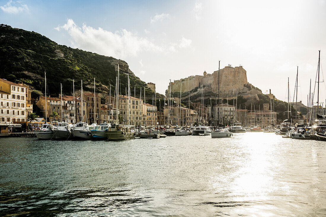 Segelboote im Hafen, Bonifacio, Südküste, Département Corse-du-Sud, Mittelmeer, Korsika, Frankreich