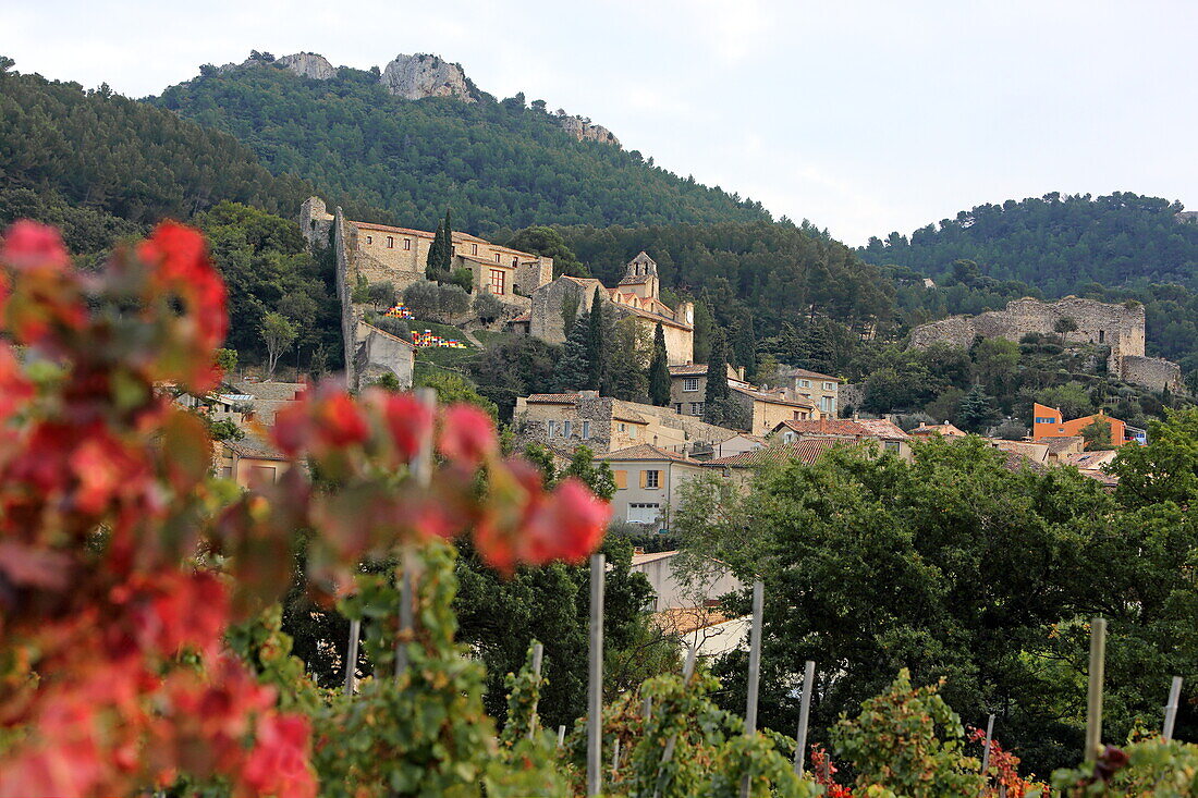 Town view of Gigondas, Vaucluse, Provence-Alpes-Côte d'Azur, France