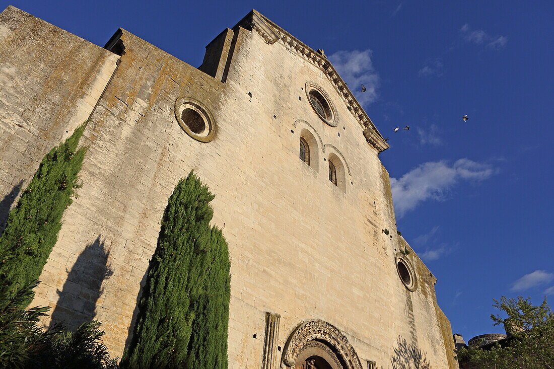Kathedrale Notre-Dame, Saint-Paul-Troix-Châteaux, Drôme, Auvergne-Rhône-Alpes, Frankreich
