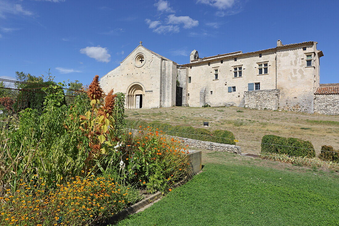 Medieval garden in the monastery complex of Salagon, Mane, Alpes-de-Haute-Provence, Provence-Alpes-Côte d'Azur, France