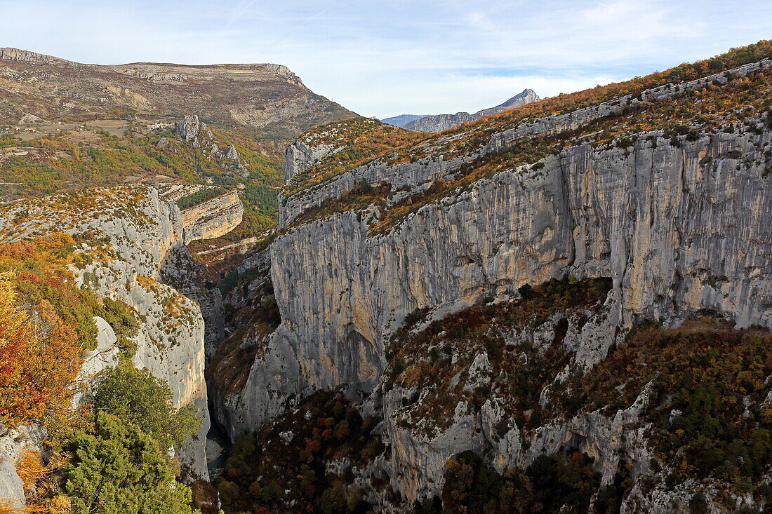 Blick in die Verdonschlucht Grand Canyon du Verdon, Alpes-de-Haute-Provence, Provence-Alpes-Côte d'Azur, Provence, Frankreich