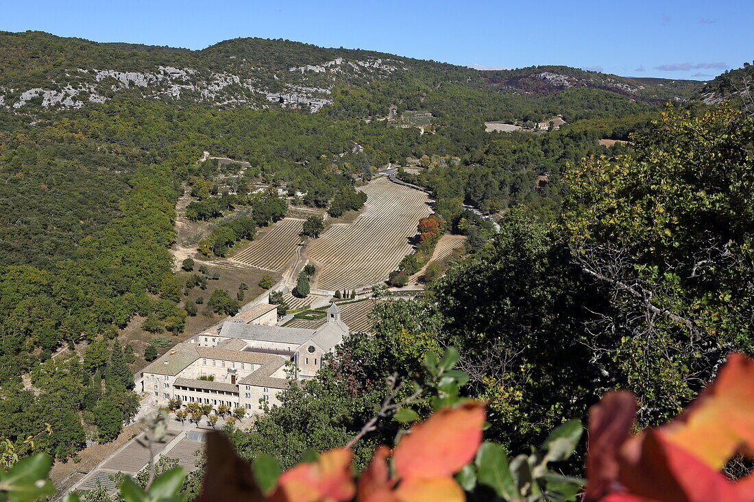 Blick auf Zisterzienserabtei Notre-Dame-de-Sénanque, bei Gordes, Vaucluse, Provence-Alpes-Côte d'Azur, Frankreich