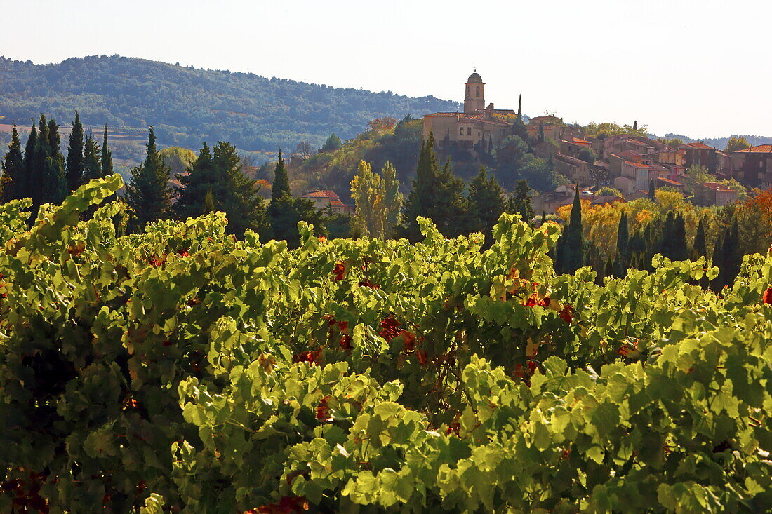 Herbstliche Weinfelder bei Mormoiron, Vaucluse, Provence-Alpes-Côte d'Azur, Frankreich