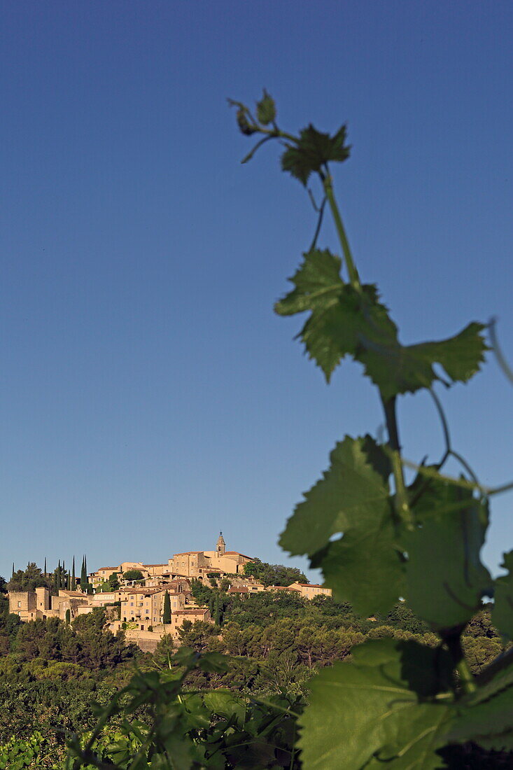 Blick auf Crillon-le-Brave, Vaucluse, Provence-Alpes-Côte d'Azur, Frankreich