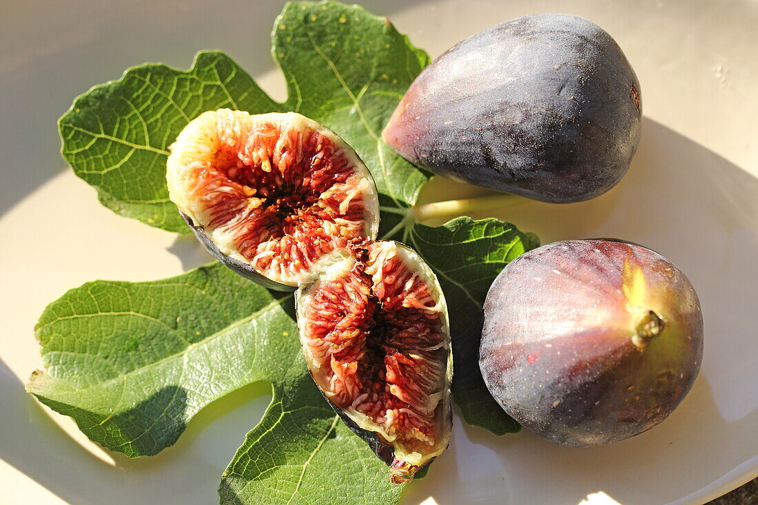Black fig from Caromb, Vaucluse, Provence-Alpes-Côte d'Azur, France