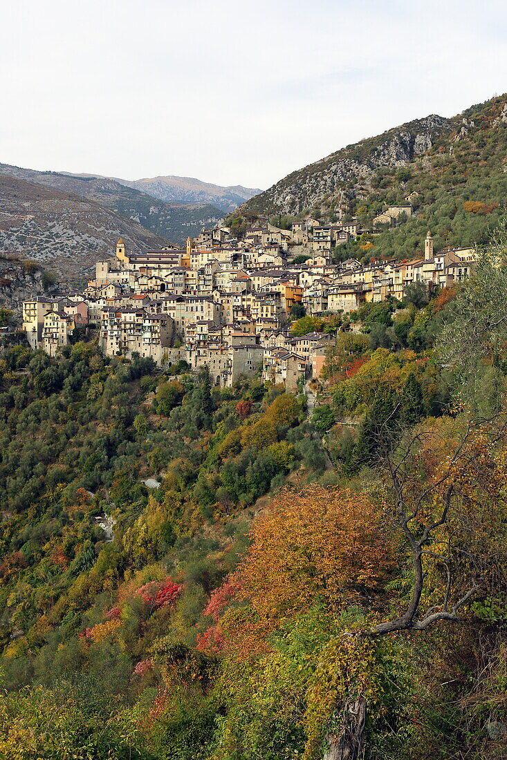 Blick auf Saorge, Royatal, Alpes-Maritimes, Provence-Alpes-Côte d'Azur,Frankreich