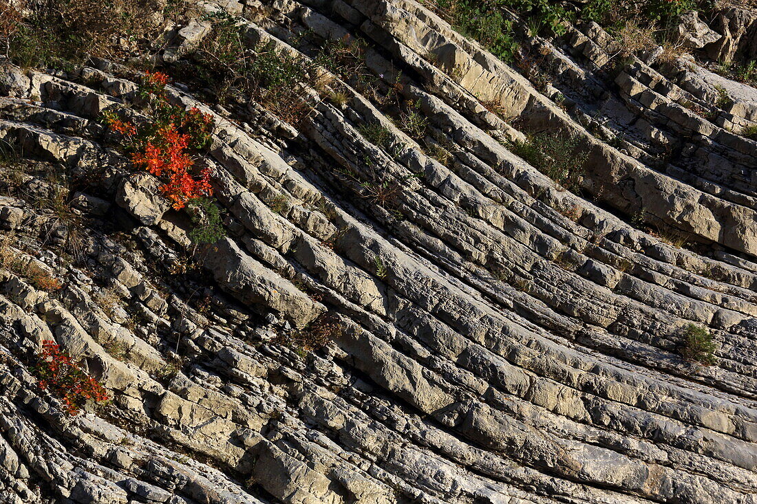 Felsstrukturen im Royatal, Nationalpark Mercantour, südlich von Breil-sur-Roya, Alpes-Maritimes, Provence-Alpes-Côte d'Azur, Frankreich