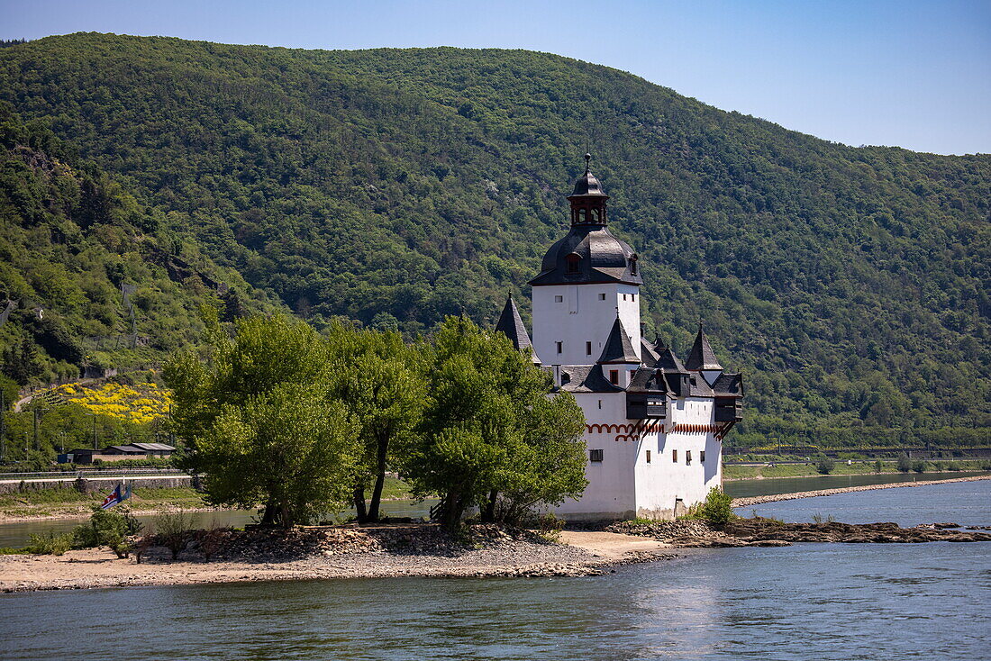 Burg Pfalzgrafenstein auf der Insel Falkenau am Rhein, Kaub, Rheinland-Pfalz, Deutschland, Europa