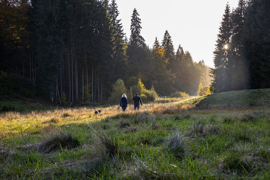 Woman, man and dog stroll through field in autumn, Wiesen Habichsthal, Spessart-Mainland, Franconia, Bavaria, Germany, Europe