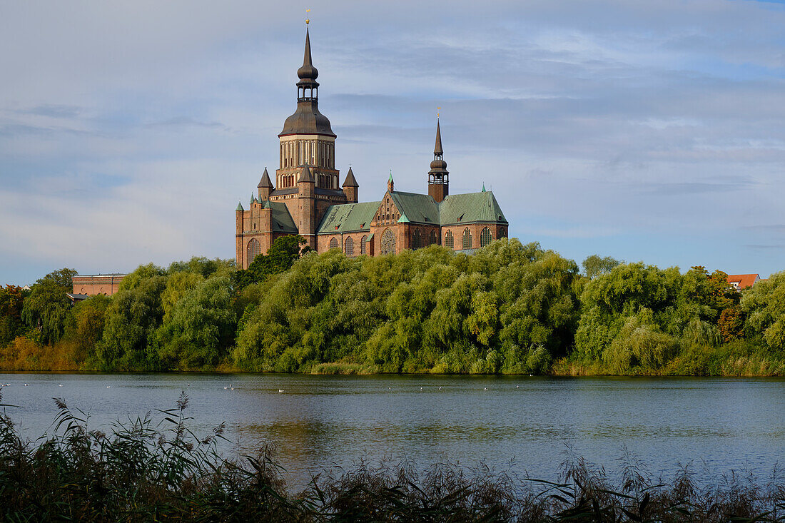 View of the Sankt Marien Church from the Frankensee in the World Heritage and Hanseatic City of Stralsund, Mecklenburg-West Pomerania, Germany