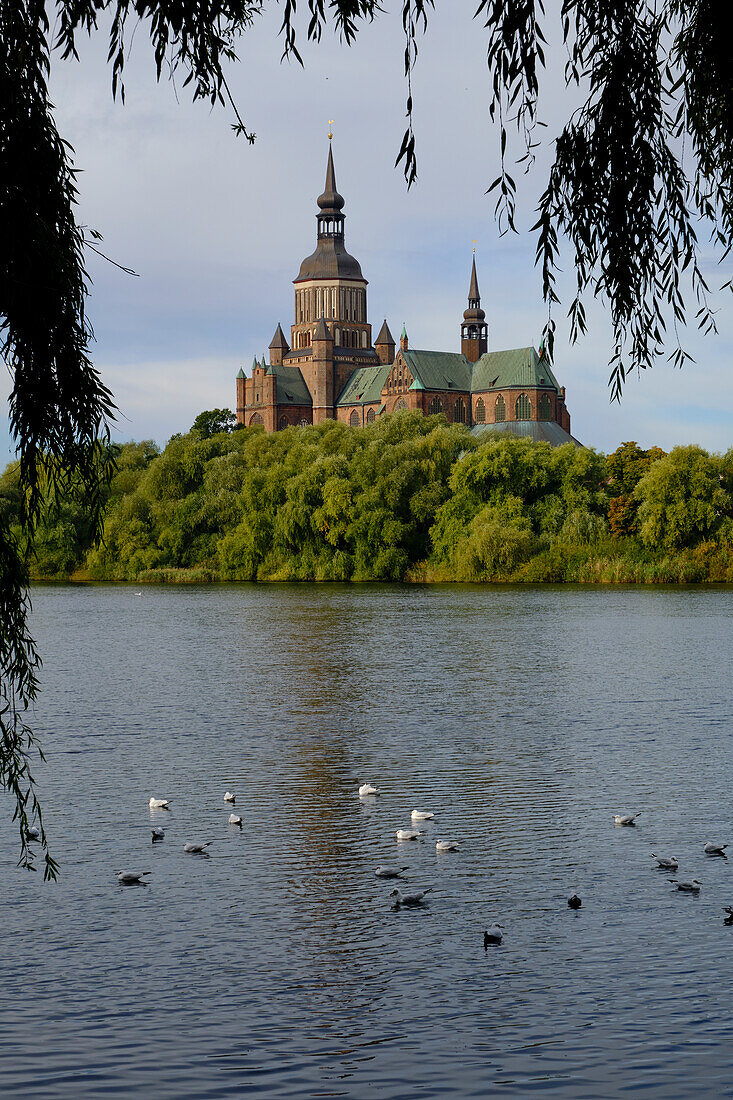 View of the Sankt Marien Church from the Frankensee in the World Heritage and Hanseatic City of Stralsund, Mecklenburg-West Pomerania, Germany