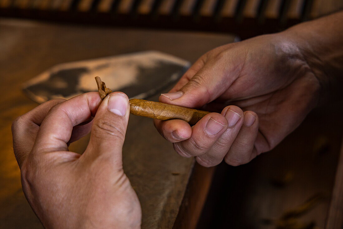 Zigarrenrollen in Zigarrenfabrik, La Palma, Kanarische Inseln, Spanien, Europa