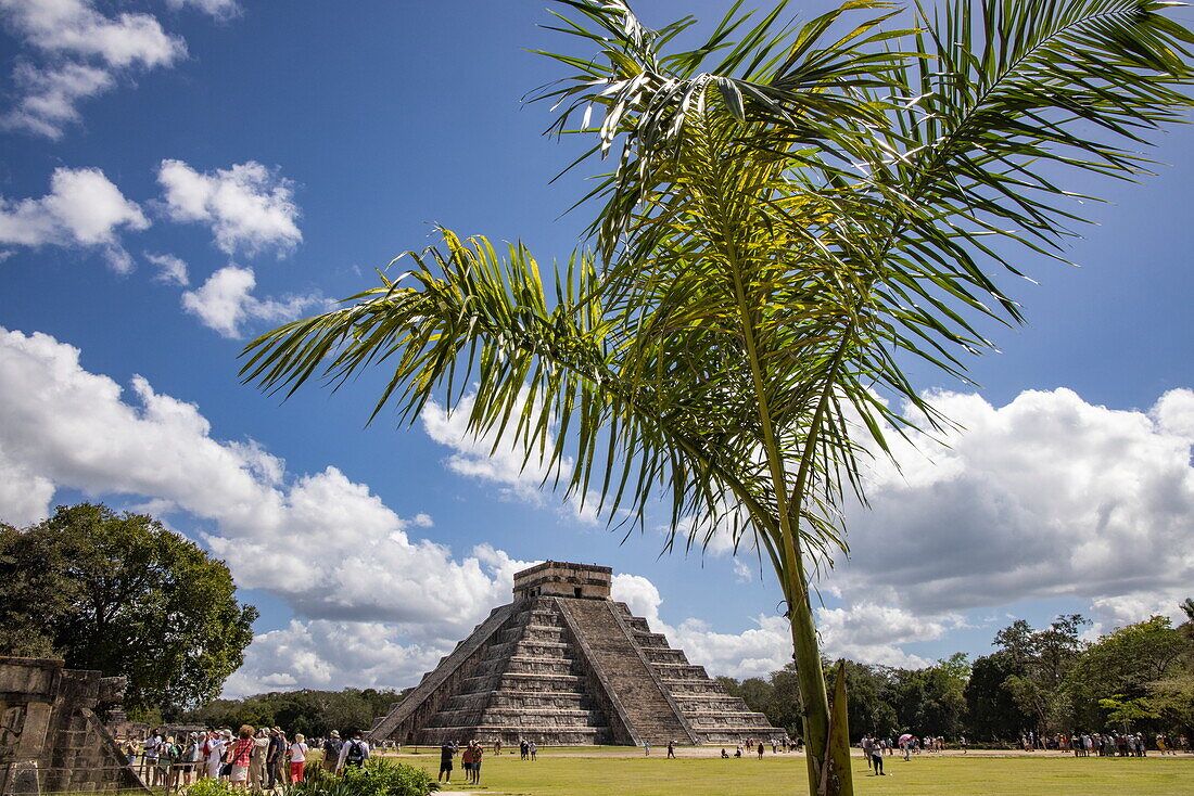 Palme und El Castillo Pyramide (Tempel des Kukulcán) an der Chichen Itza Maya archäologischen Stätte, Chichen Itza, Yucatán, Mexiko, Karibik