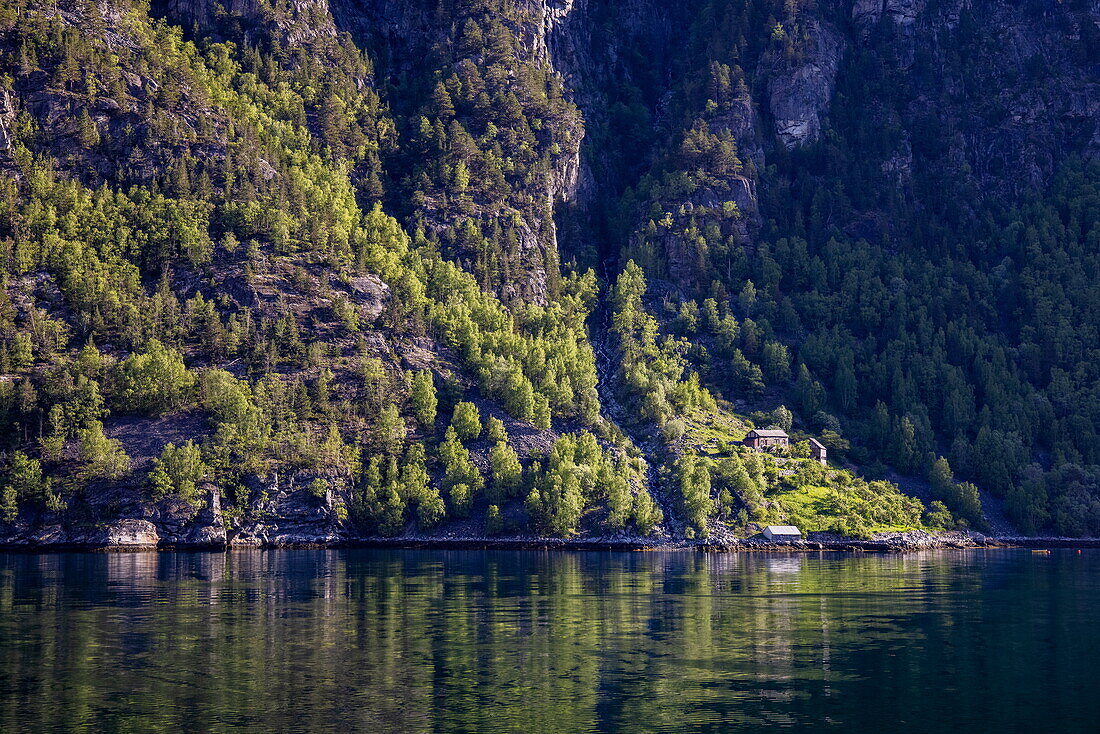 Houses along the coast of Sunnylvsfjorden, near Stranda, Møre og Romsdal, Norway, Europe