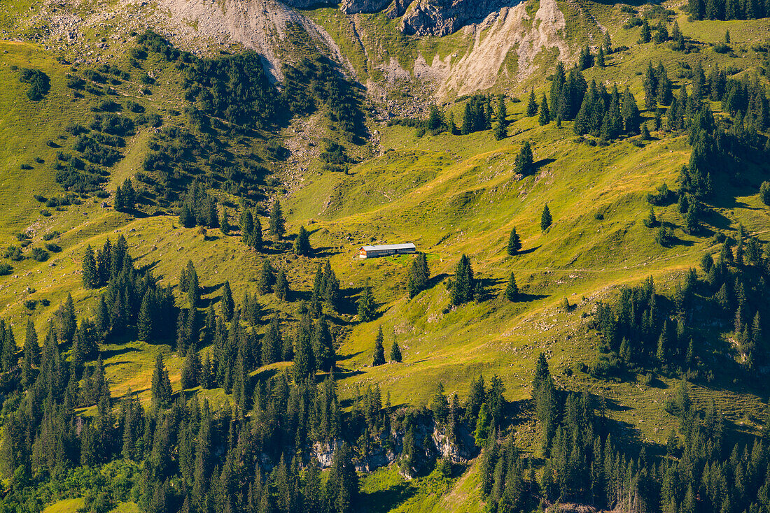 Obere Lugen Alpe in the Oytal below the Hahnenköpfle, Allgäu Alps, Allgäu, Bavaria, Germany, Europe