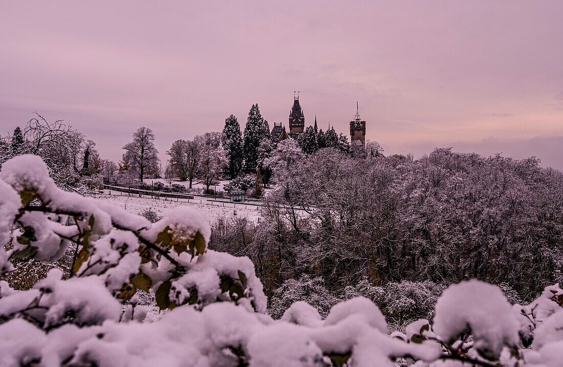 Drachenburg Castle in the Siebengebirge in winter, North Rhine-Westphalia, Germany