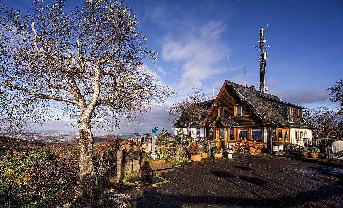 Hikers at the mountain restaurant on the Großer Ölberg, view of the Rhine Valley near Bonn, Siebengebirge, North Rhine-Westphalia, Germany