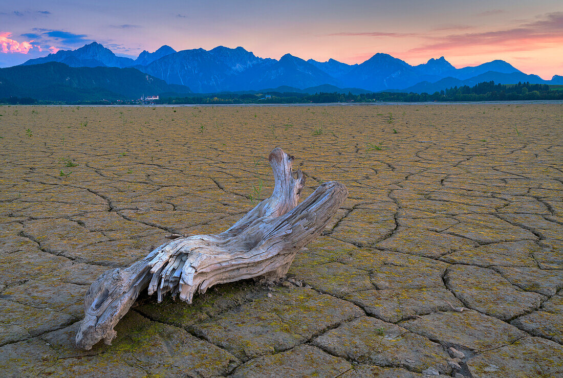 Evening mood at the completely dried up Forggensee, Bavaria, Germany.