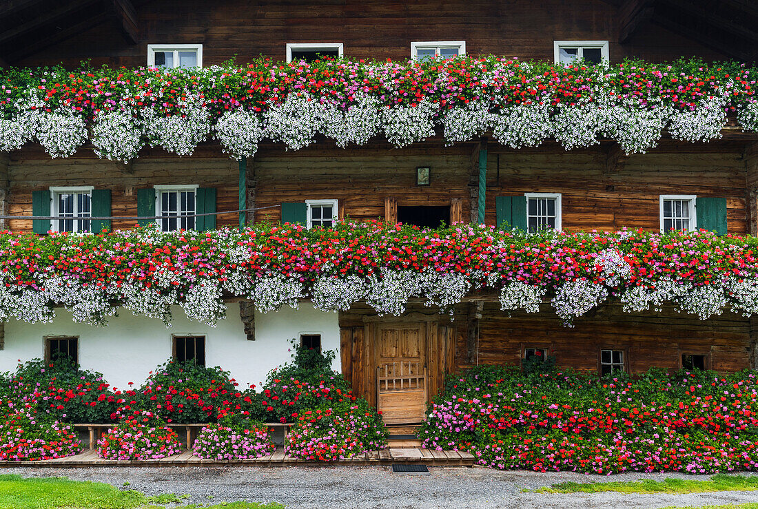 Blumen auf einem alten Bauernhaus, Tirol, Österreich