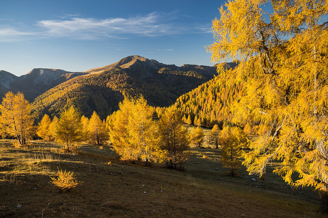 autumnal Nockberge, Pfannnock, Predigerstuhl, Plattnock, Gurktal Alps, Carinthia, Austria
