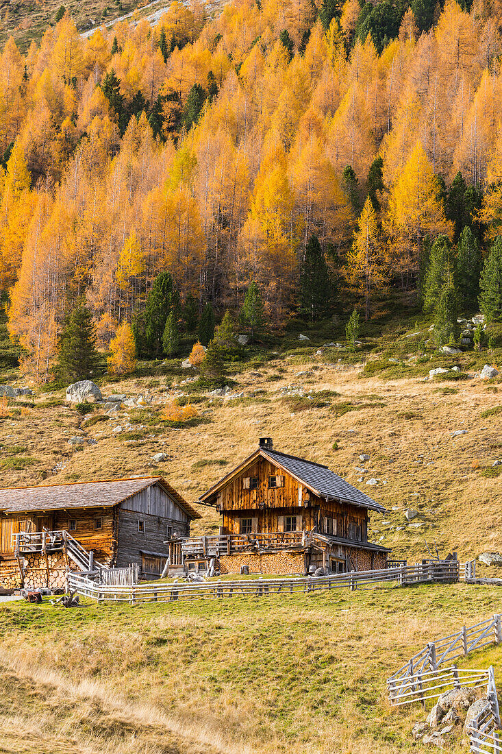 Staller Alm, Staller Saddle, Osttirol, Tyrol, Austria