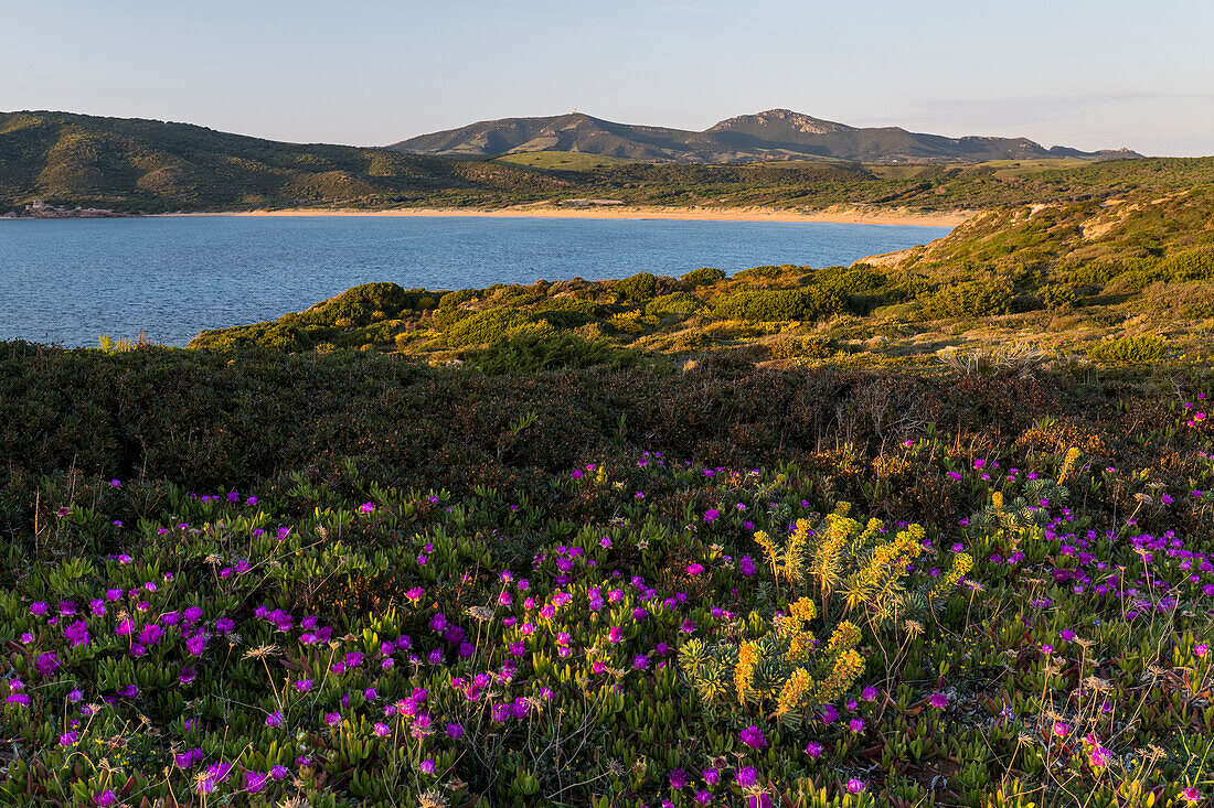 Küste bei Spiaggia di Porto Ferro, Logudoro, Sardinien, Italien